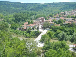 DSCN6107