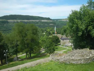 DSCN6124