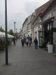 DSCN6172