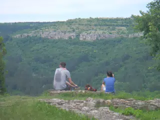 DSCN6130
