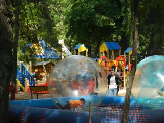 DSCN5964