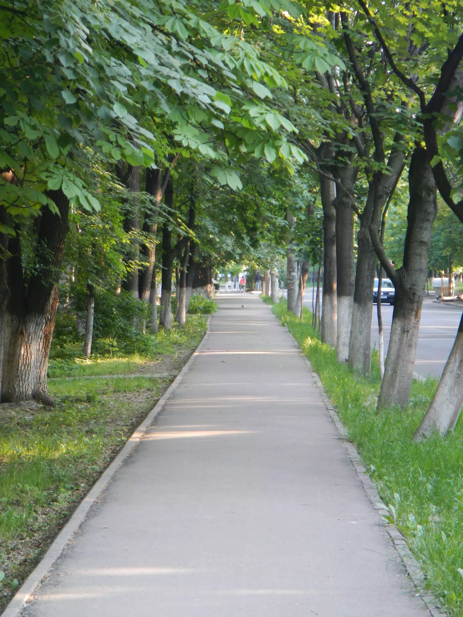 DSCN6008