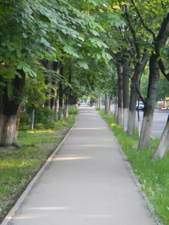 DSCN6008