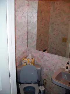 Peekskill Powder Room