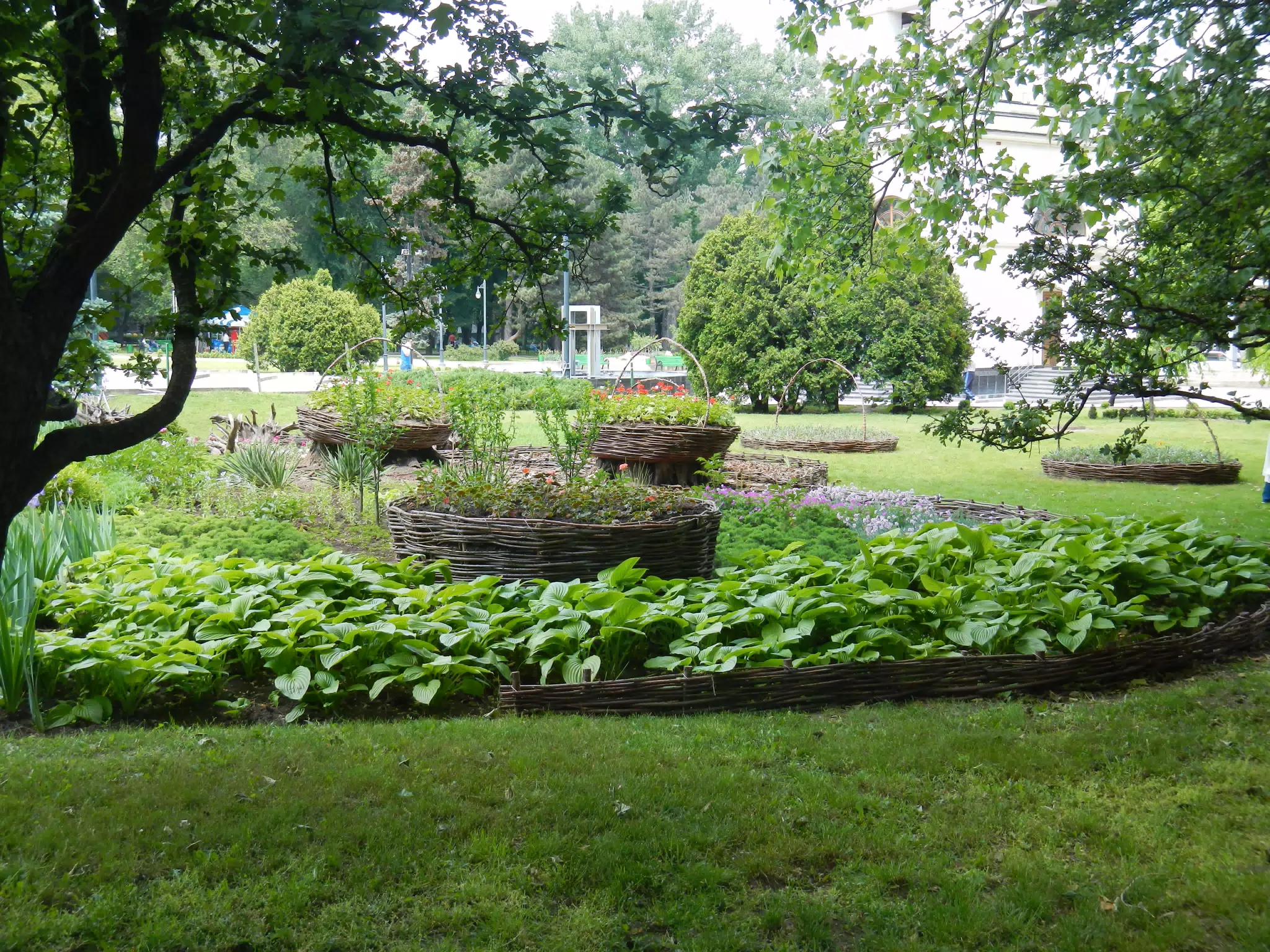 DSCN5941