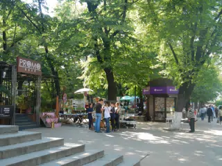 DSCN5977