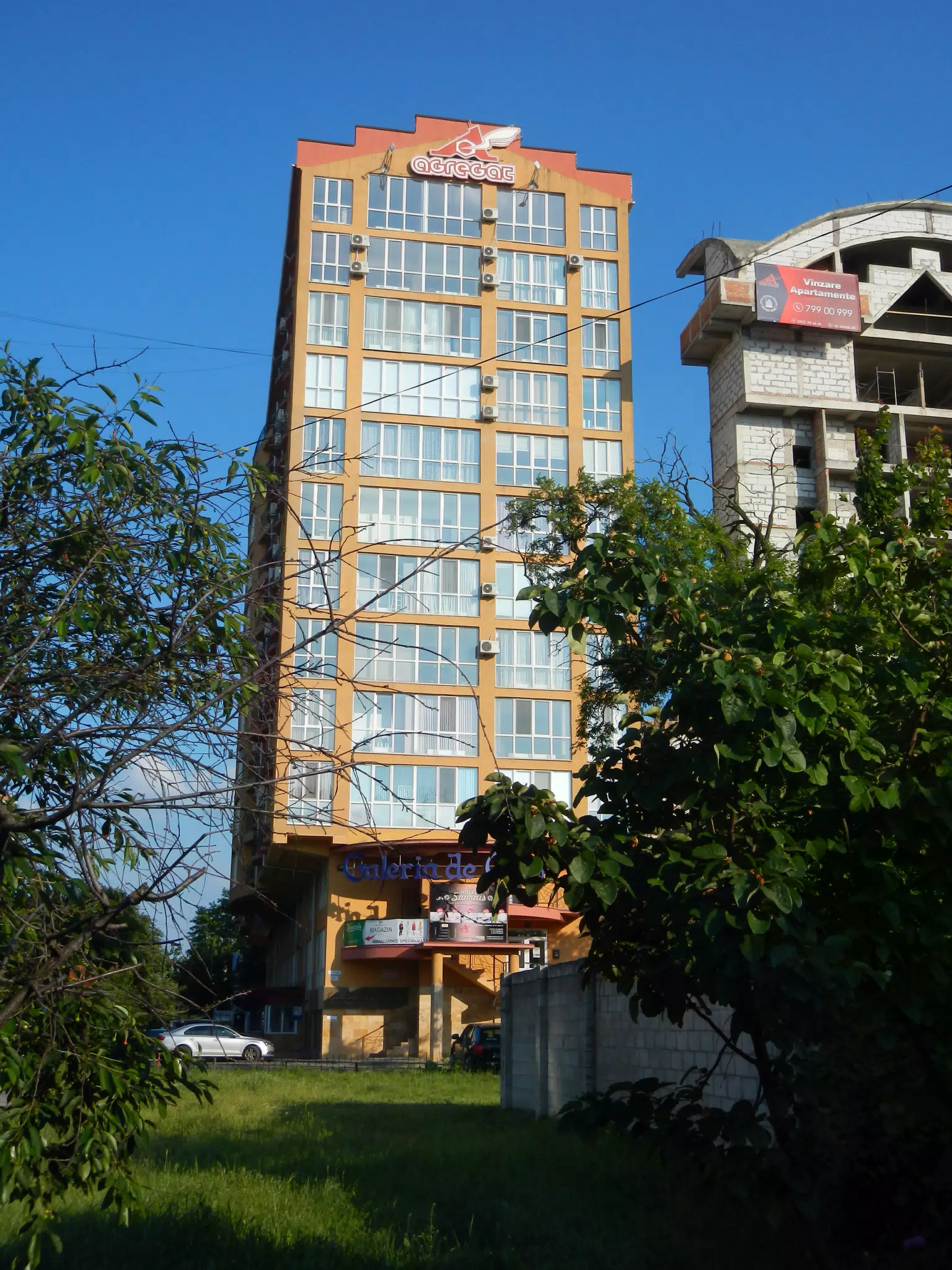 DSCN5986