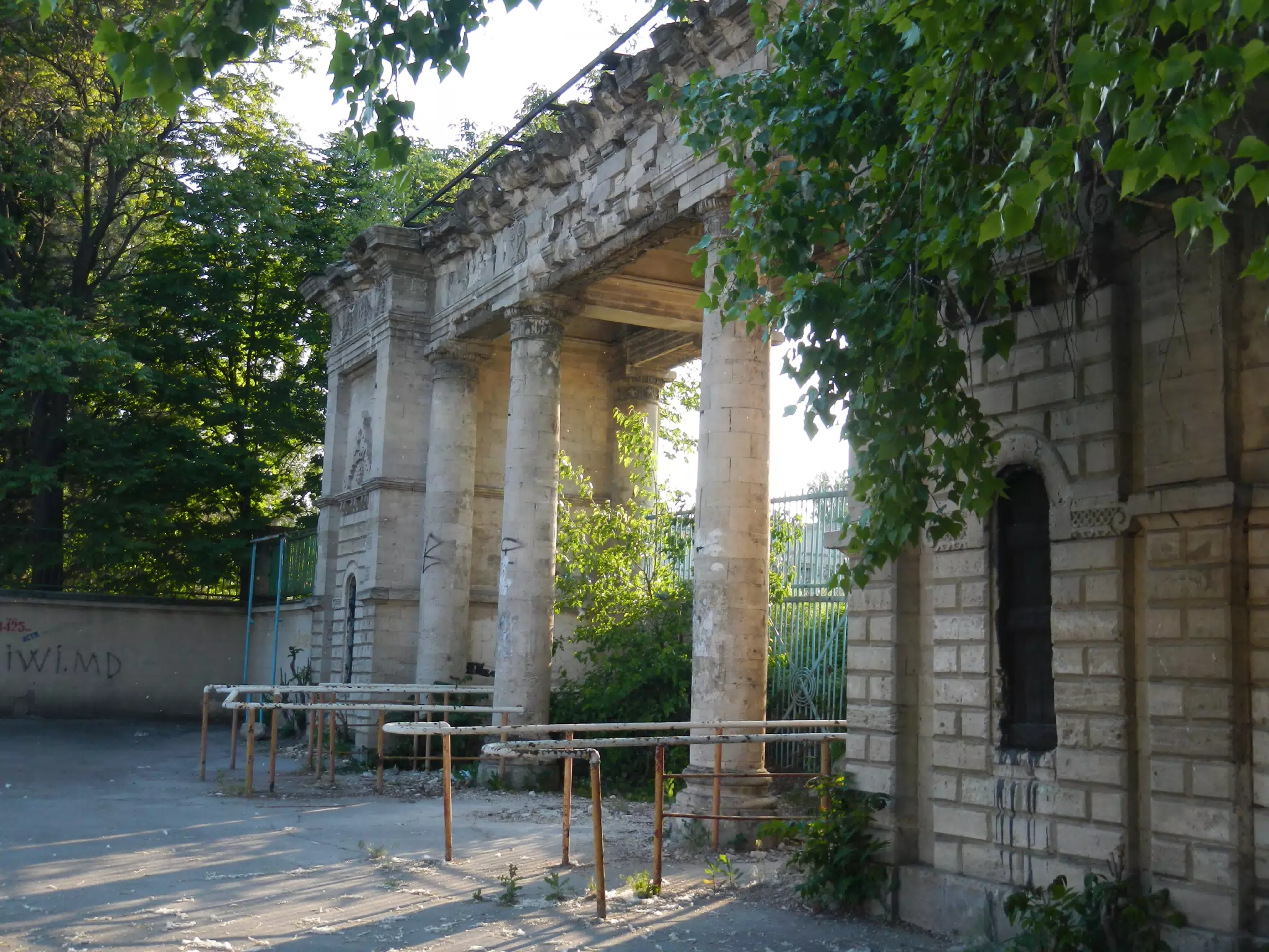 DSCN5988