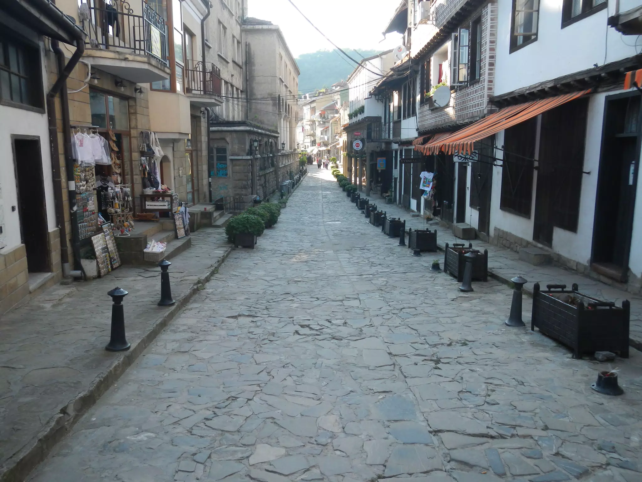 DSCN6071