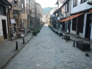 DSCN6071