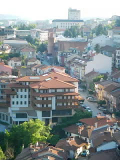 DSCN6070
