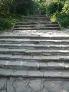DSCN6091