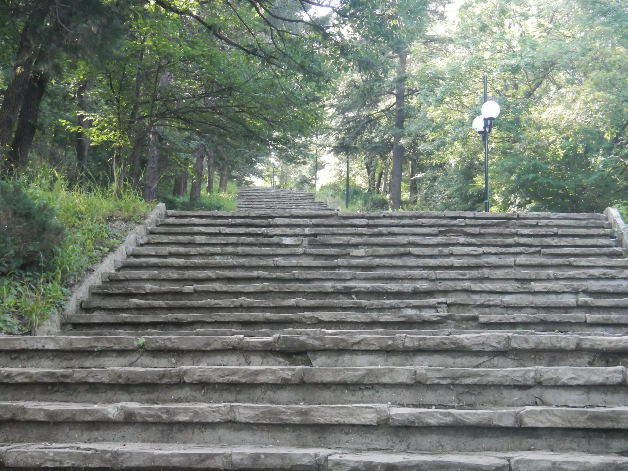 DSCN6092