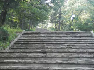 DSCN6092