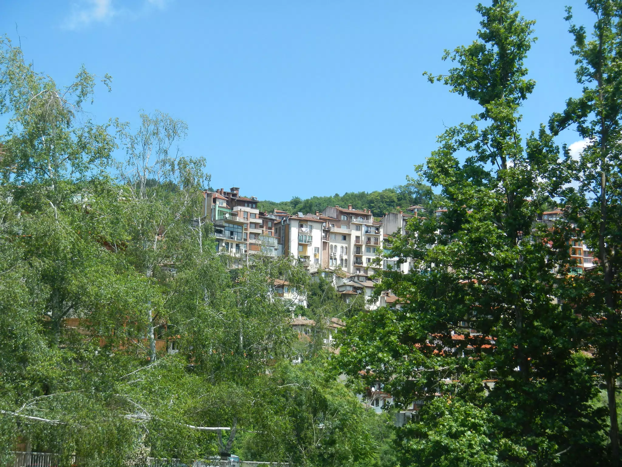 DSCN6020