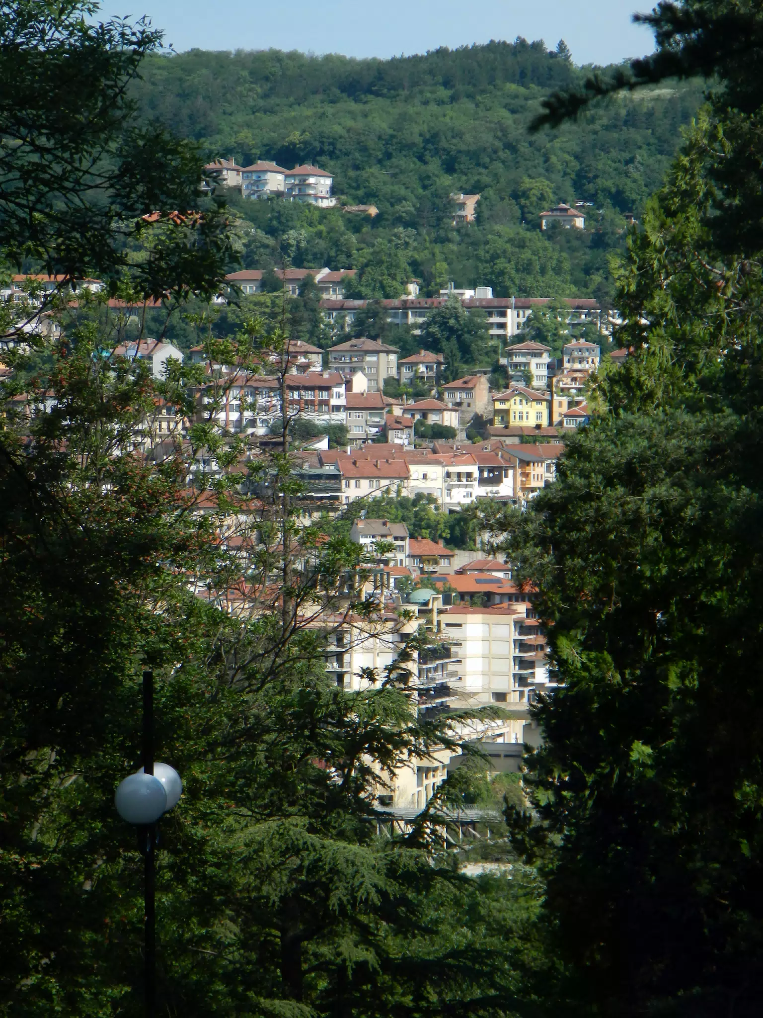 DSCN6094