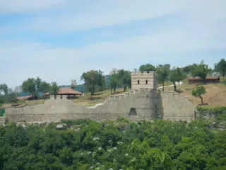 DSCN6103