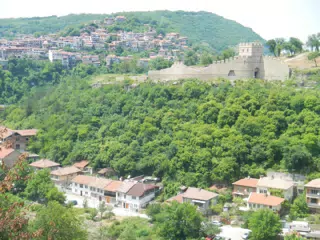 DSCN6106