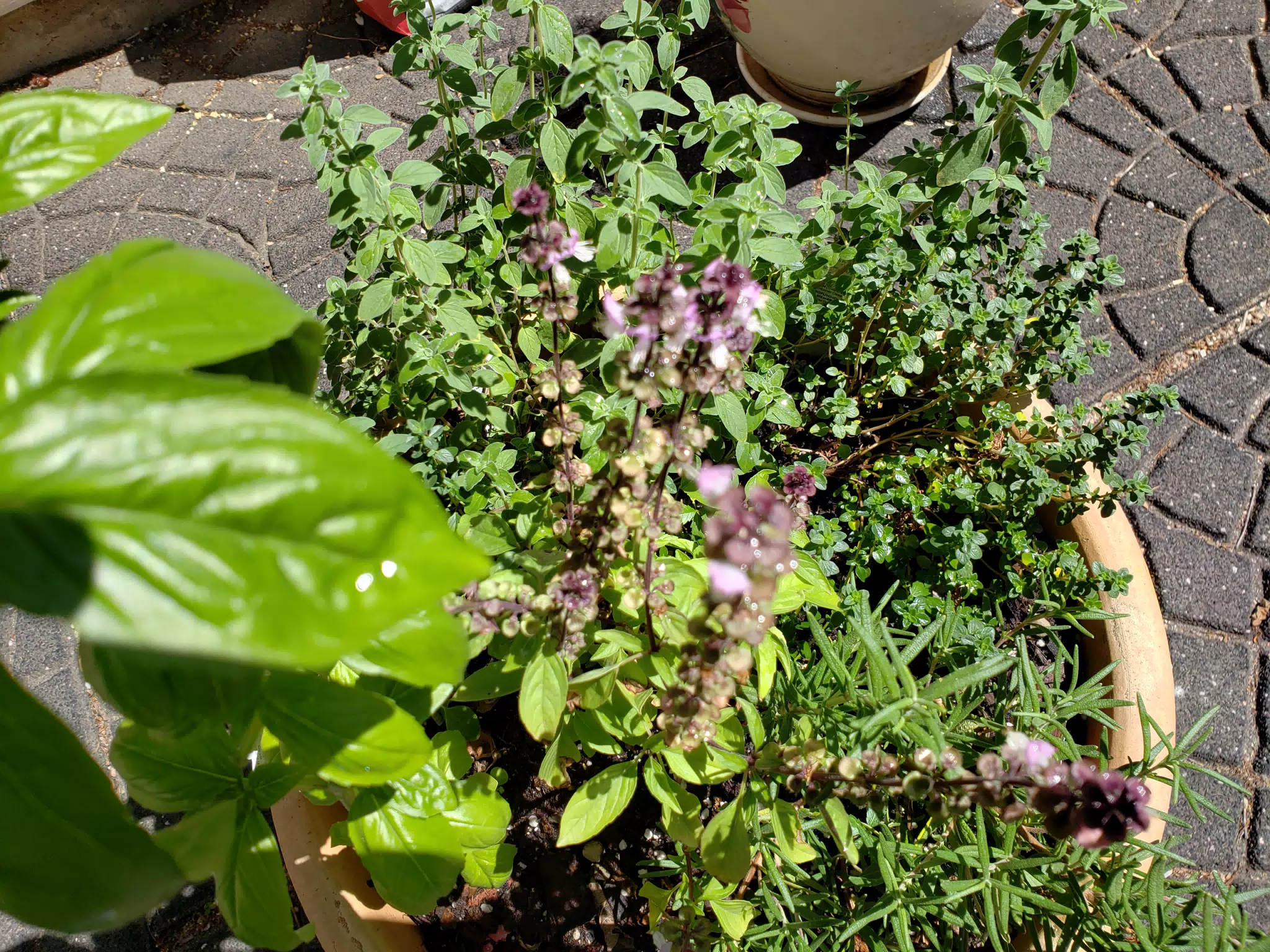 20180517_113153