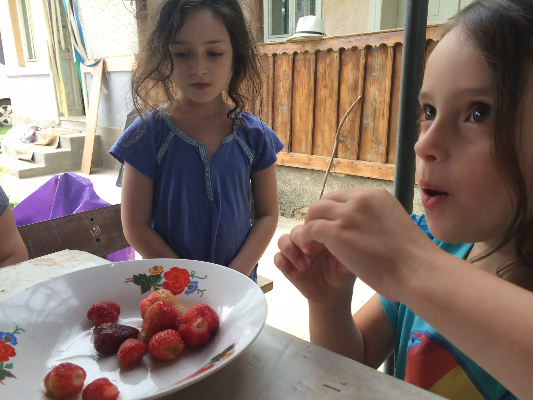 Strawberries in Transylvania