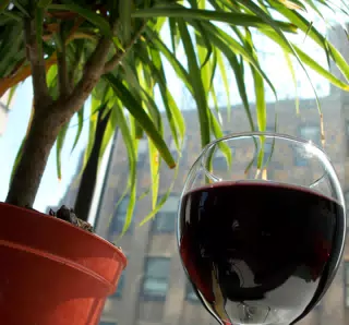 Red Wine and a Little Tree