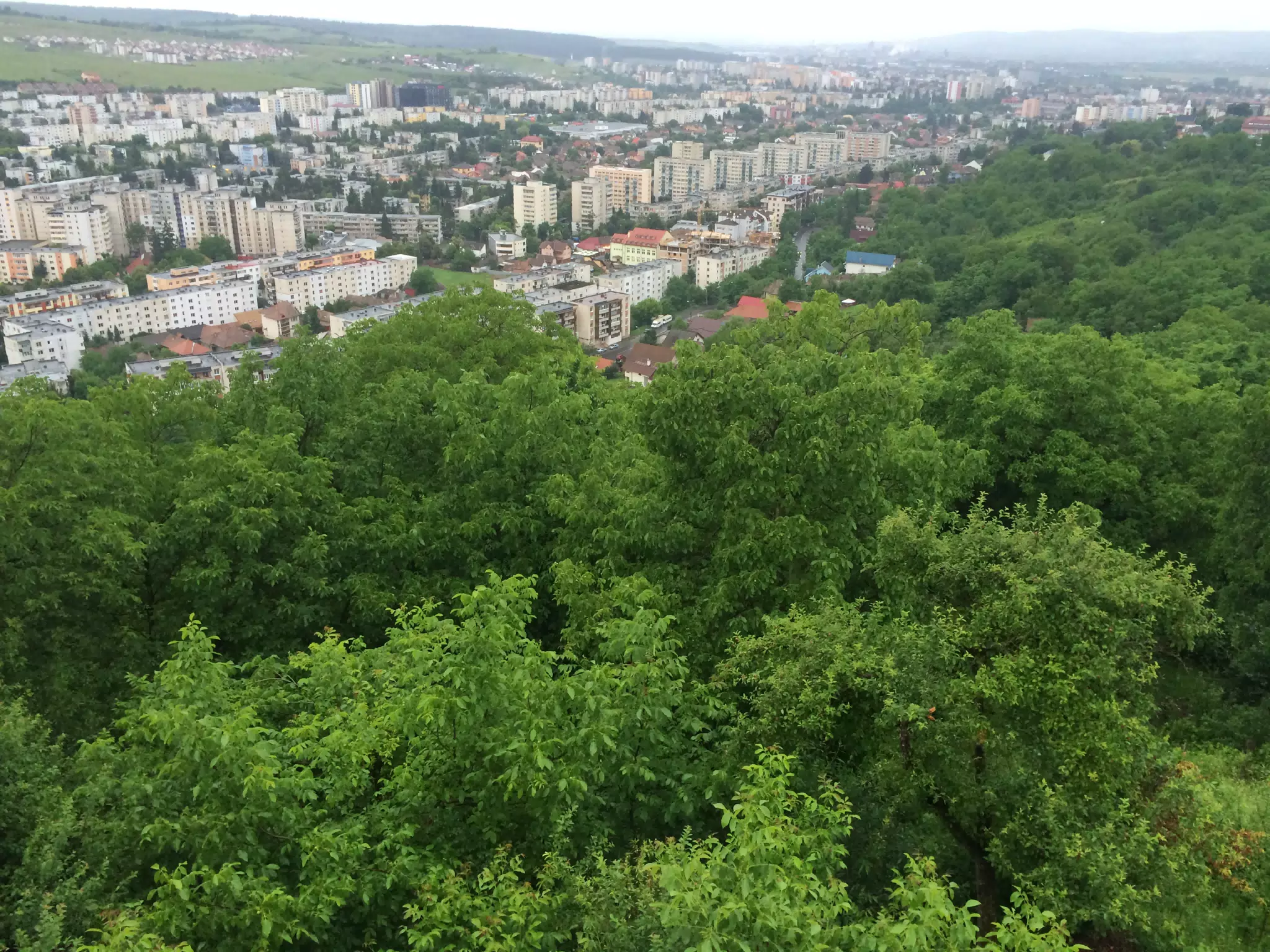 Targu Mures