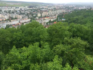 Targu Mures