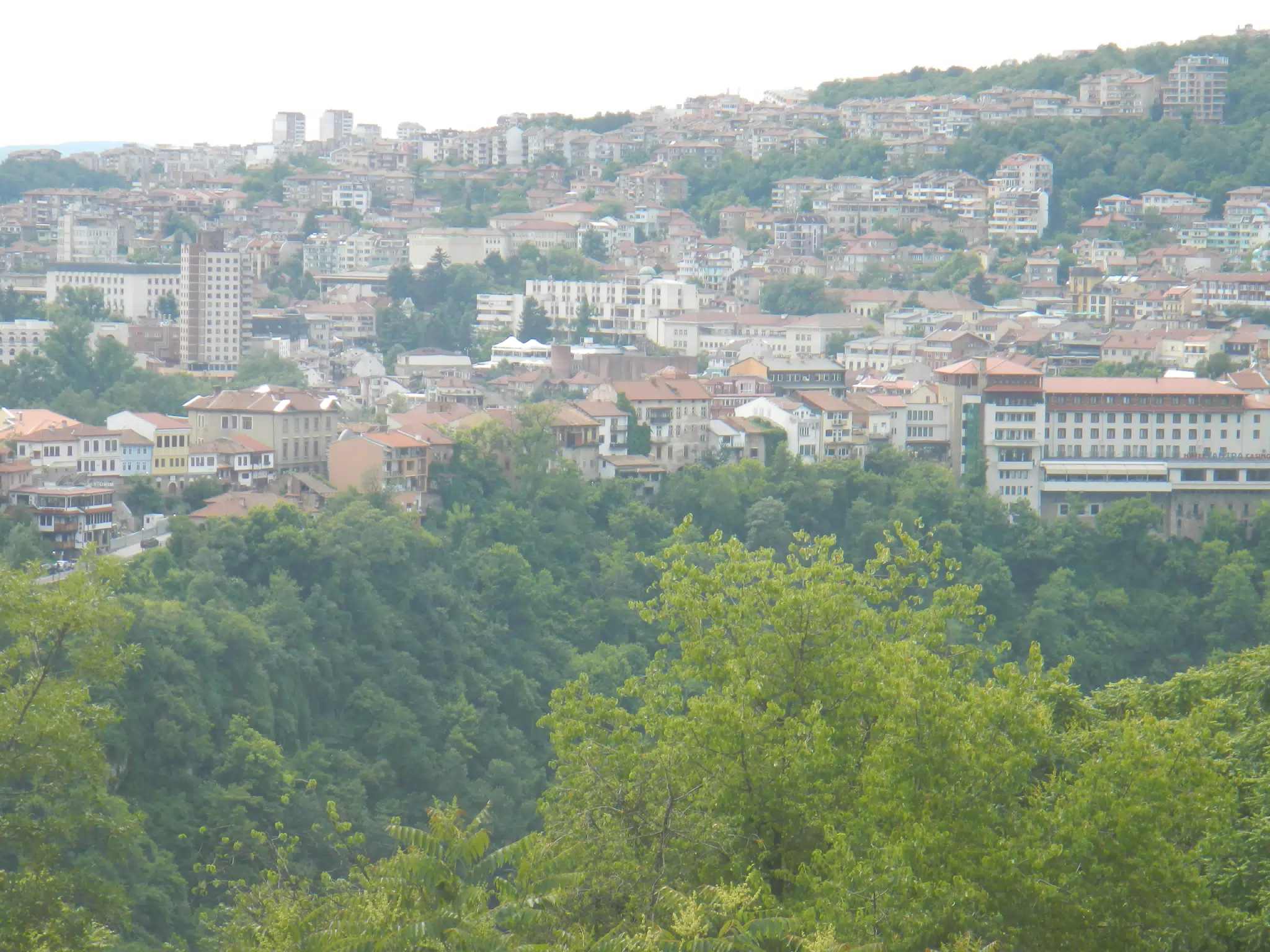 DSCN6129