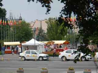 DSCN6160