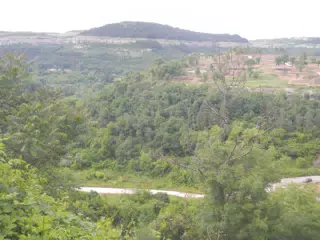 DSCN6149