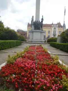 DSCN6164