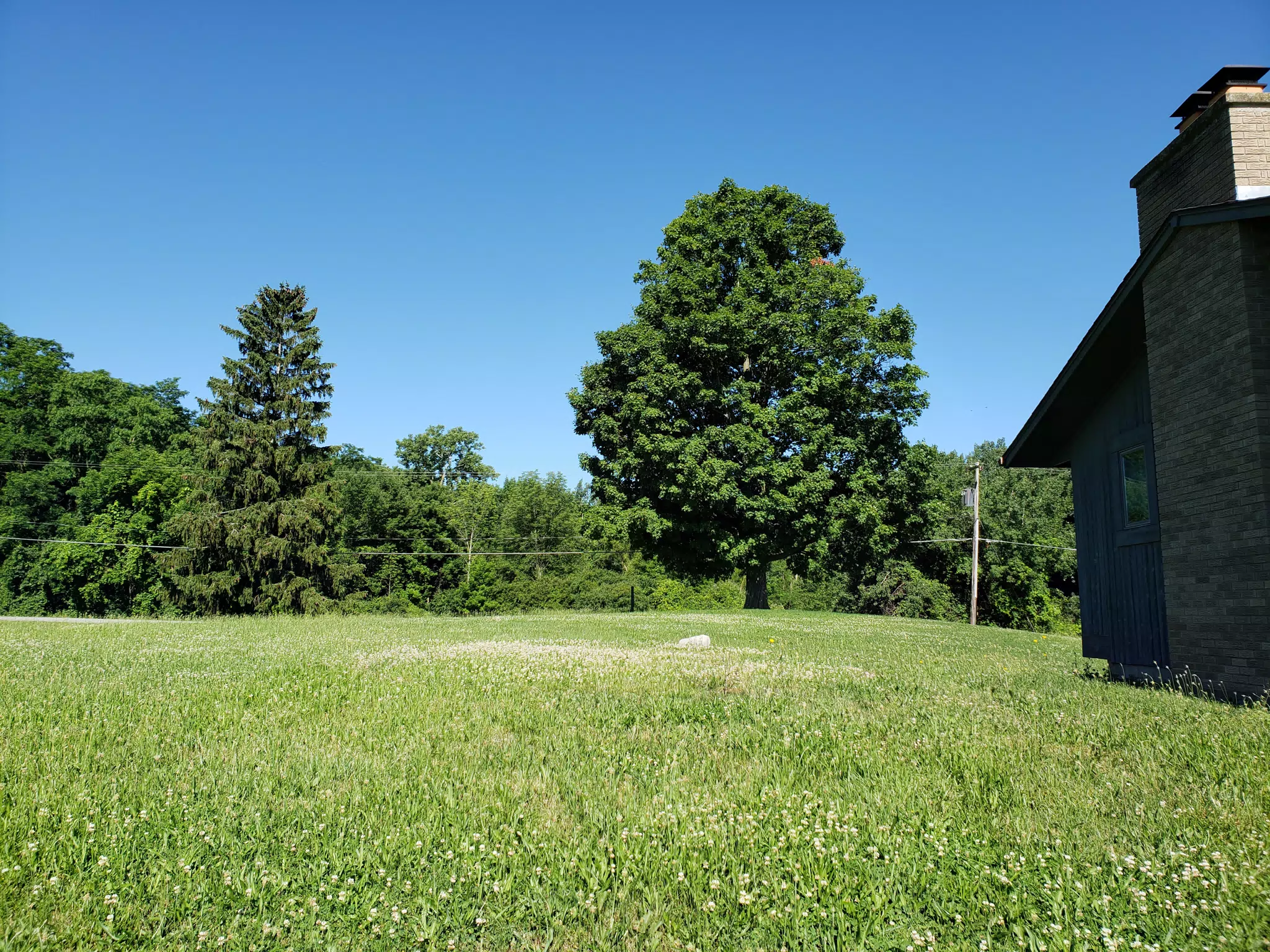 Sonshine Acres, Peoria NY - Side Lawn