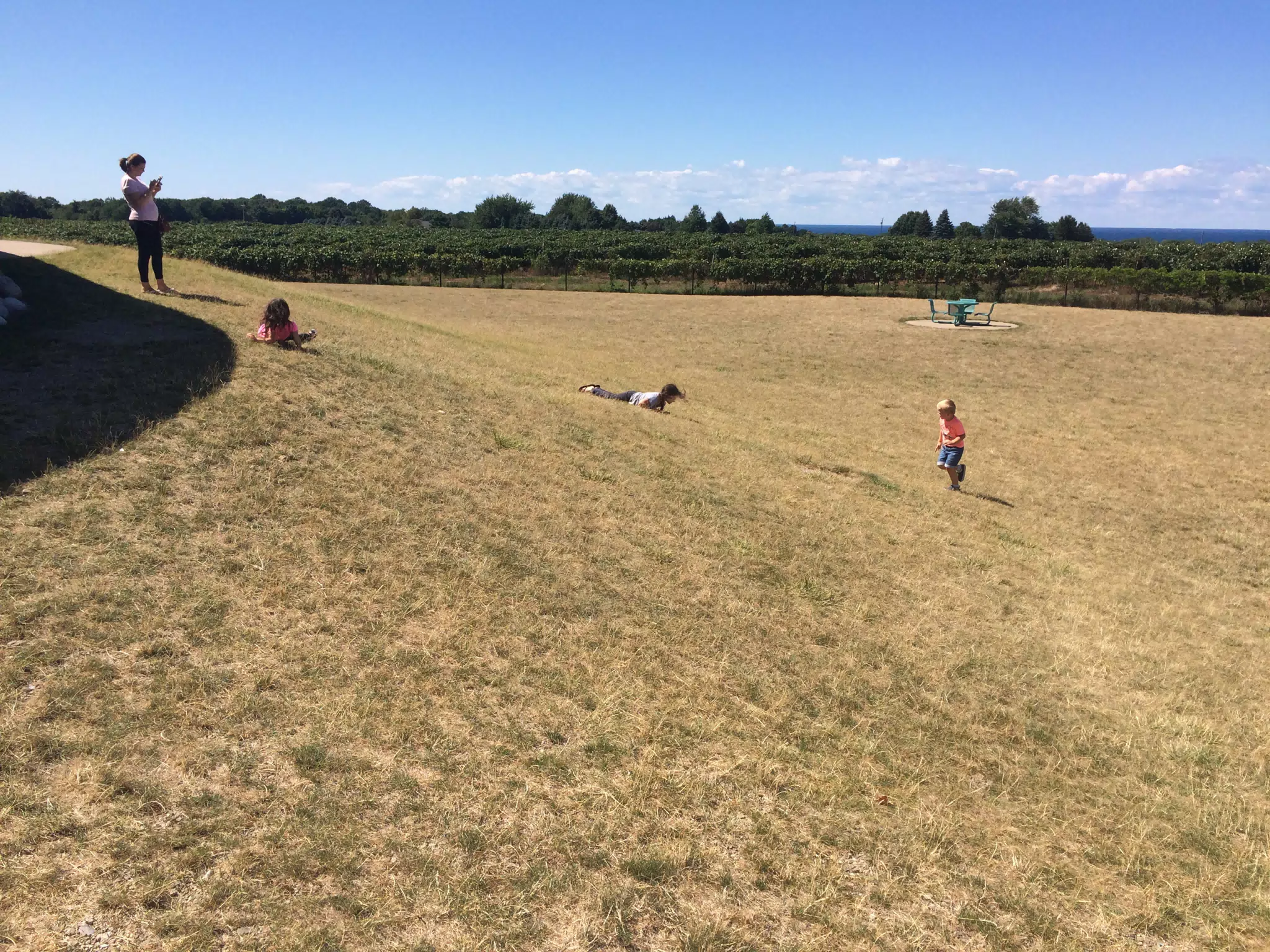 The Girls Rolling Down the Hill