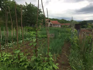 Baita, Romania