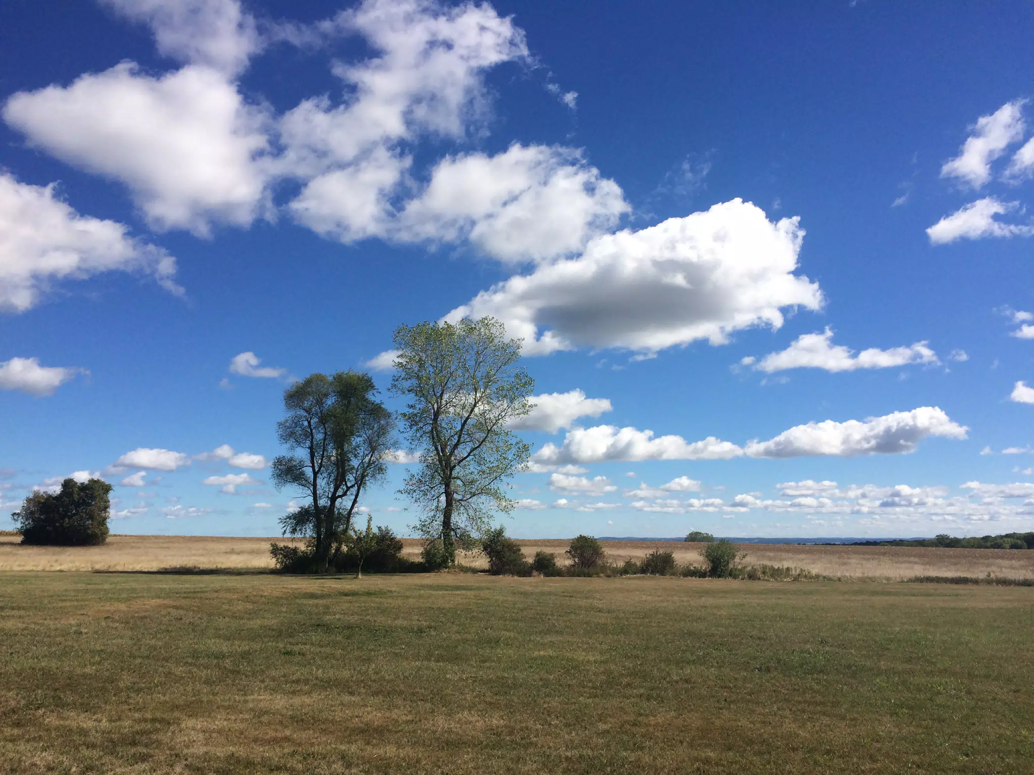 Sonshine Acres