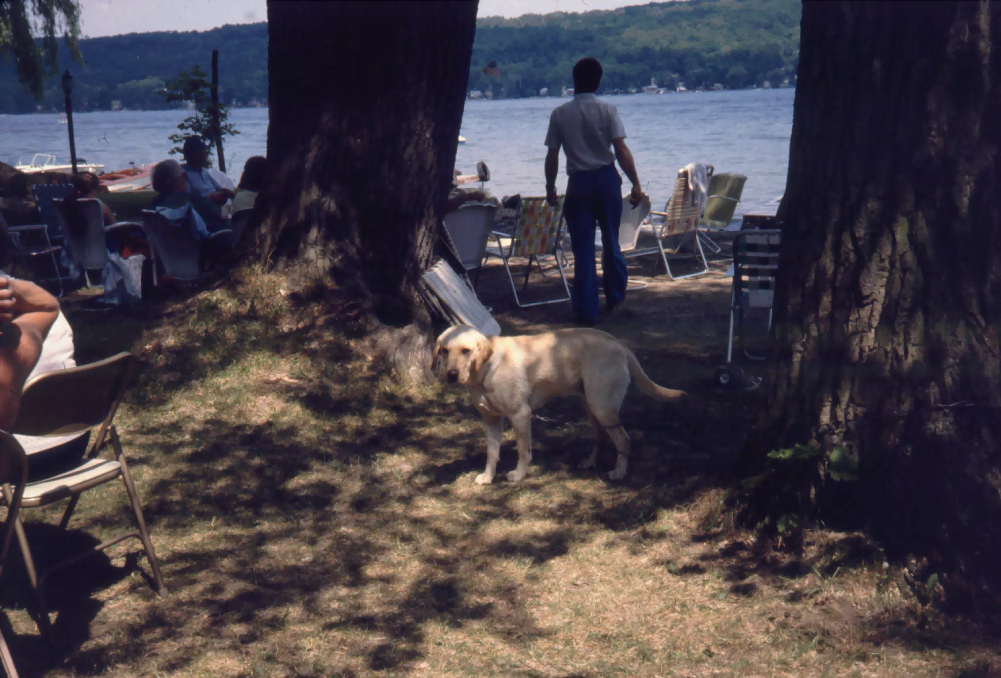 Sasha at Conesus Lake