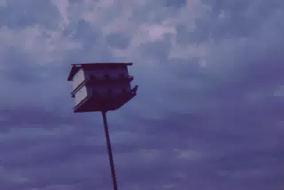 Bird House