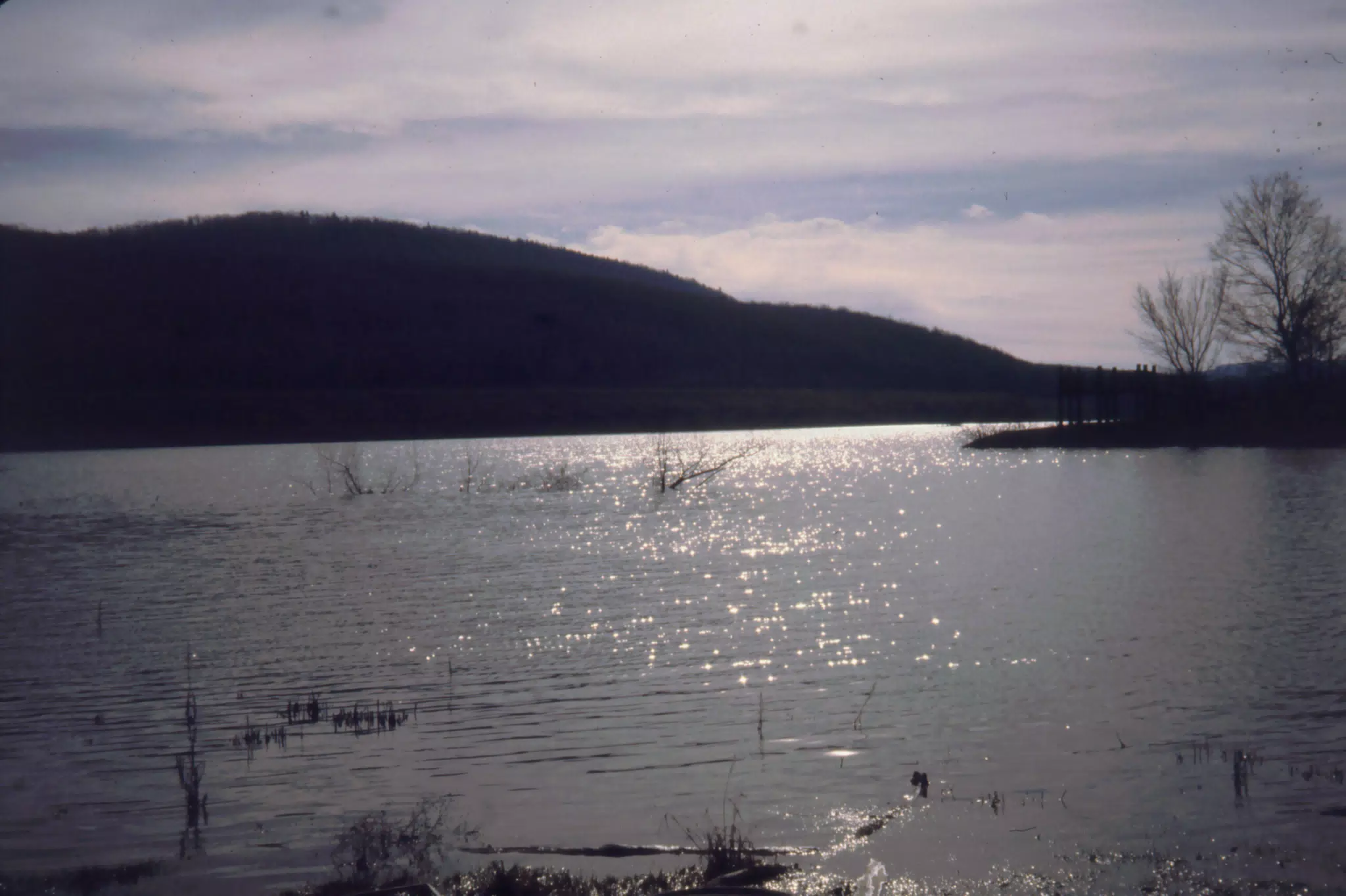 Pond