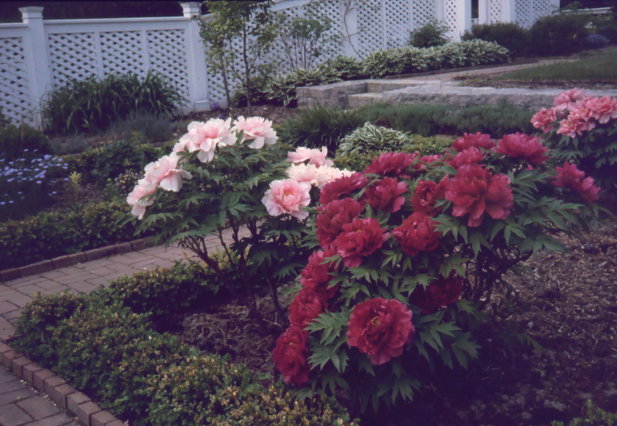 Horticulture at Genesee Country Museum