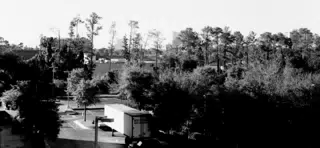 View from Radisson Balcony in Flordia
