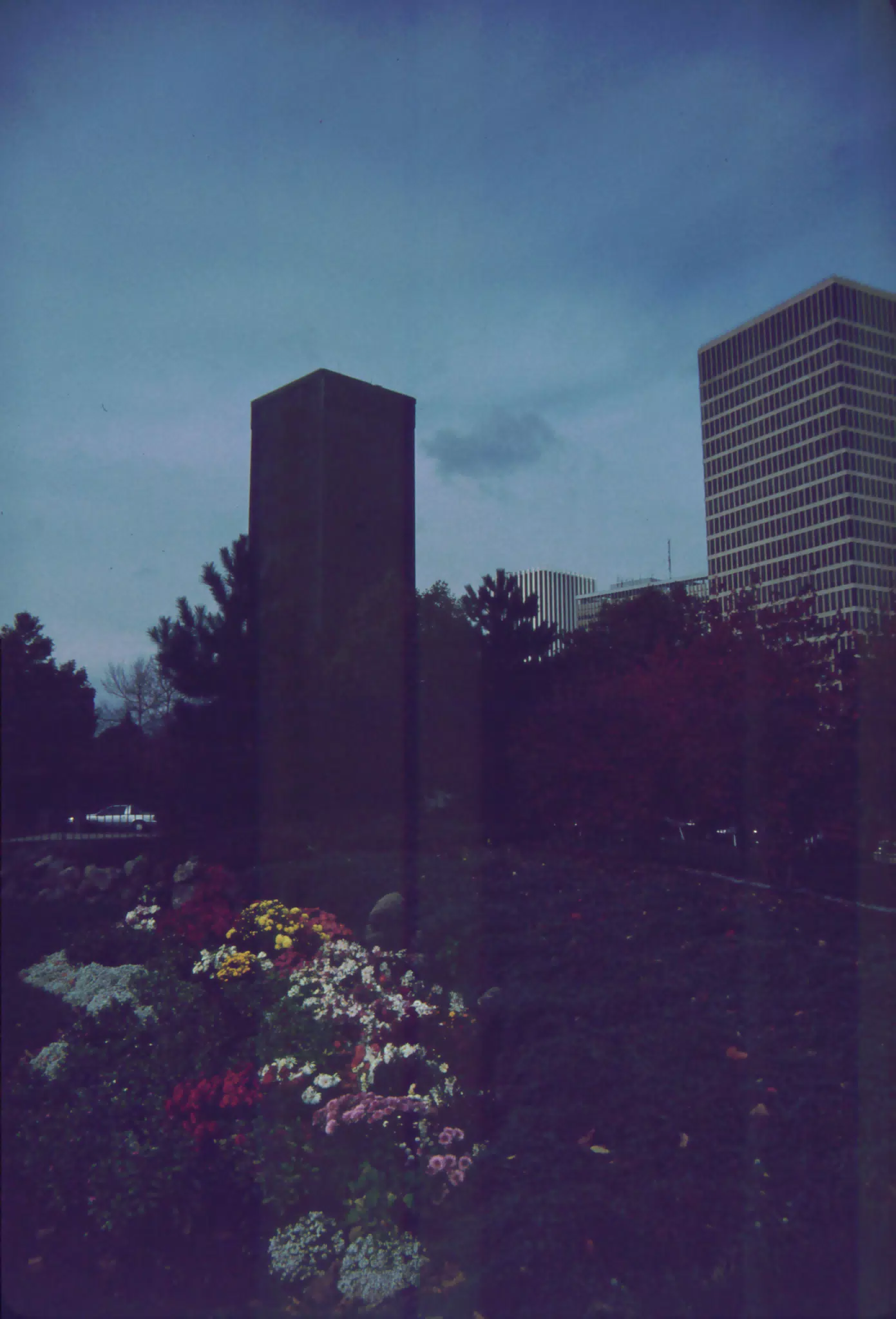 A Day in the Life of Rochester