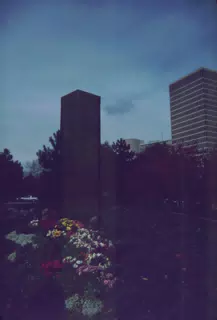A Day in the Life of Rochester