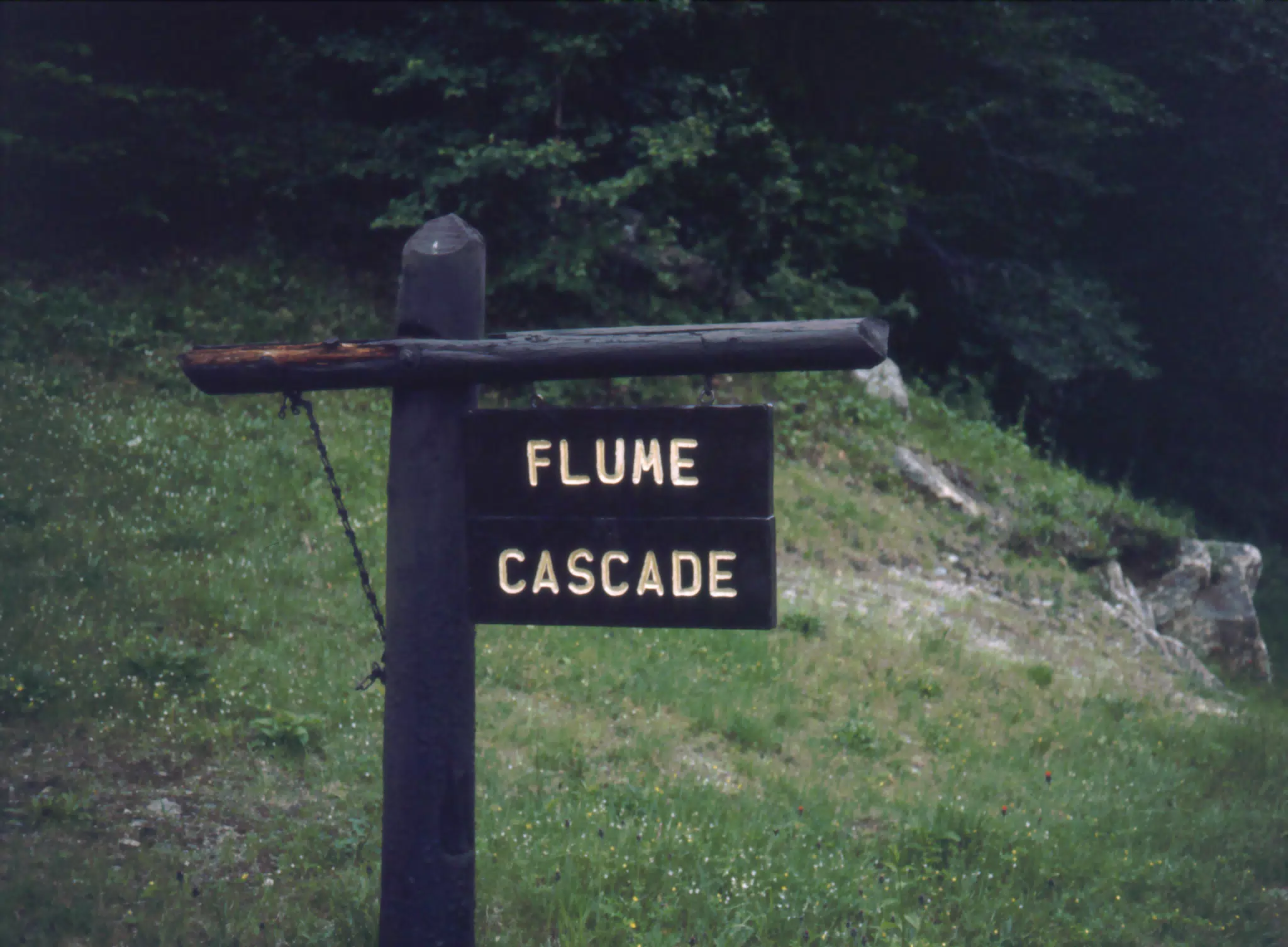 Flume Cascade Sign, New Hampshire