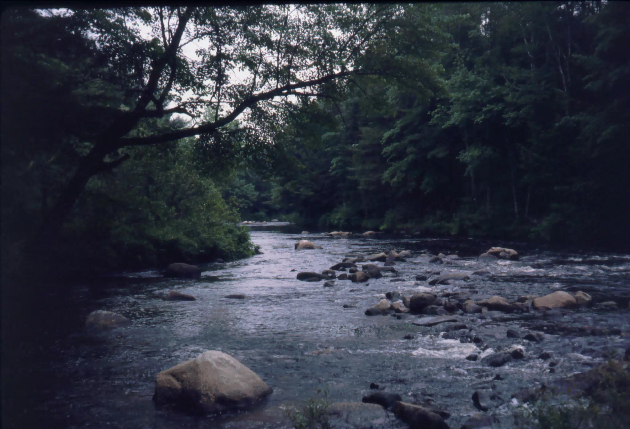 Creek