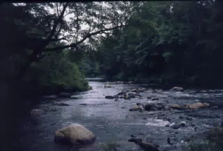 Creek