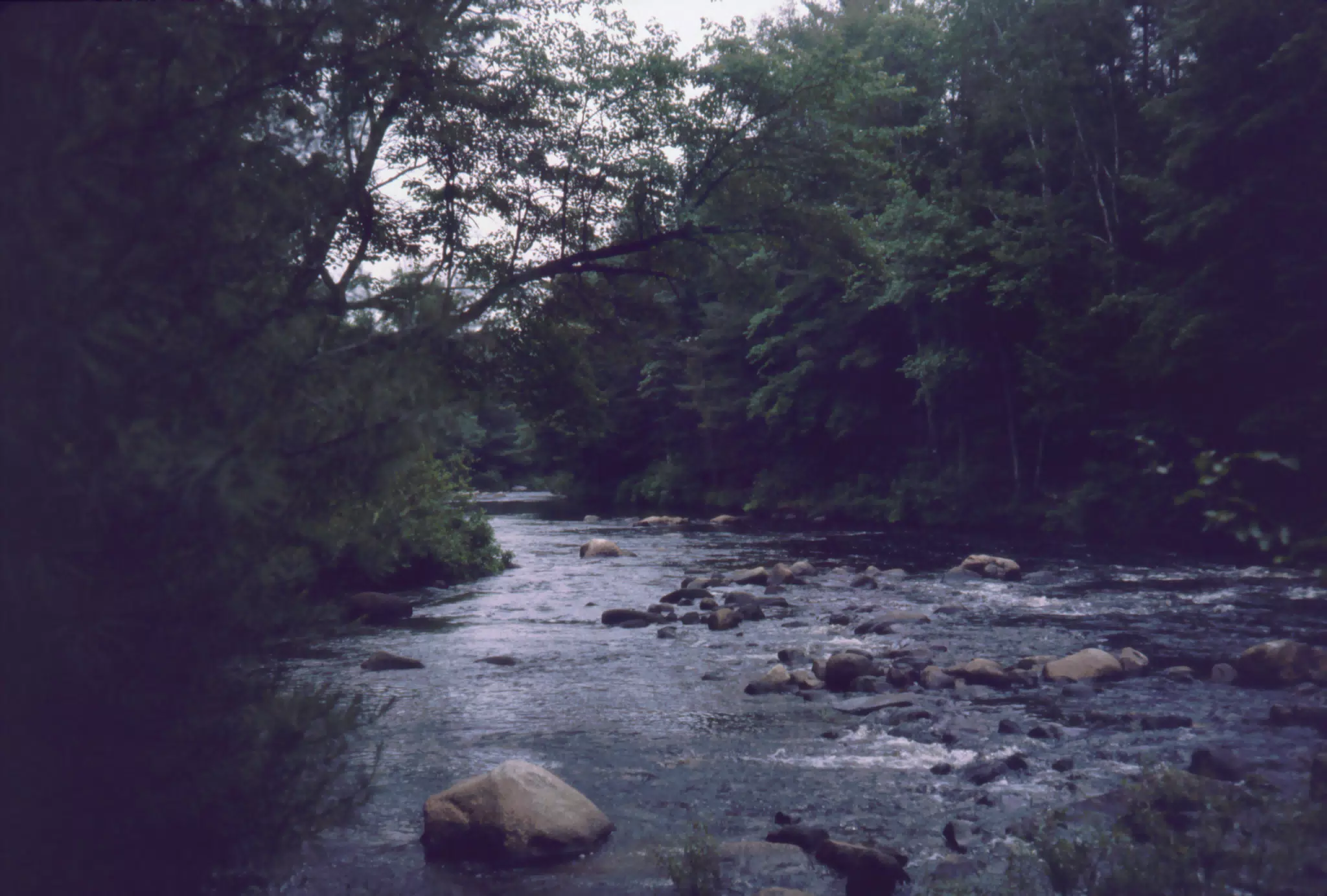 Creek