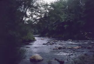Creek