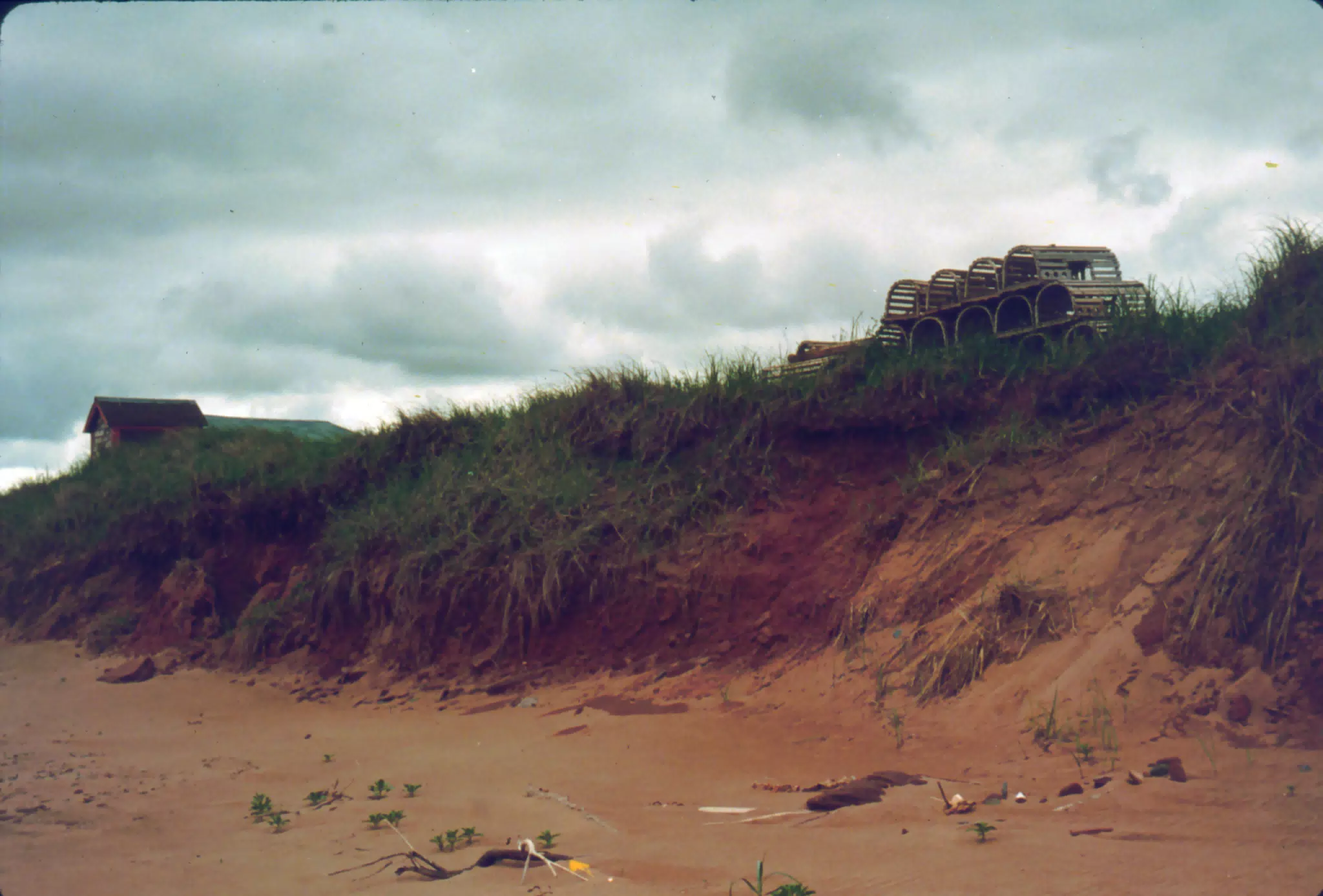 Lobster Traps on Sand Dune, Cavendish, Prince Edward Island
