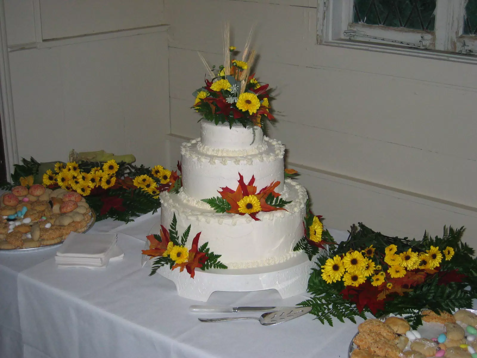 Scott and Dominica's Wedding Reception