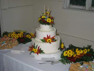 Scott and Dominica's Wedding Reception